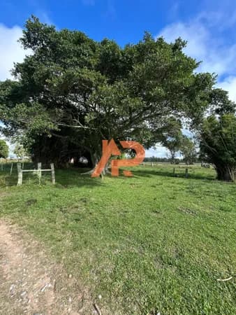 Fazenda/Sítios/Chácaras em Arroio Grande - Centro