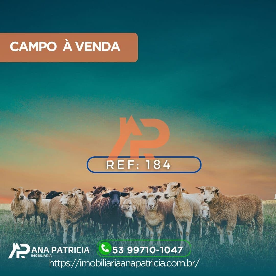 Fazenda/Sítios/Chácaras em Arroio Grande - Centro