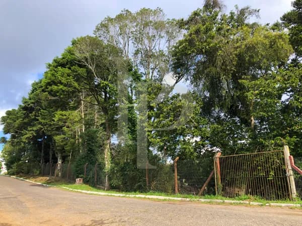 Terreno imperdível com 711,00 m² no Centro de São Francisco de Paula - RS