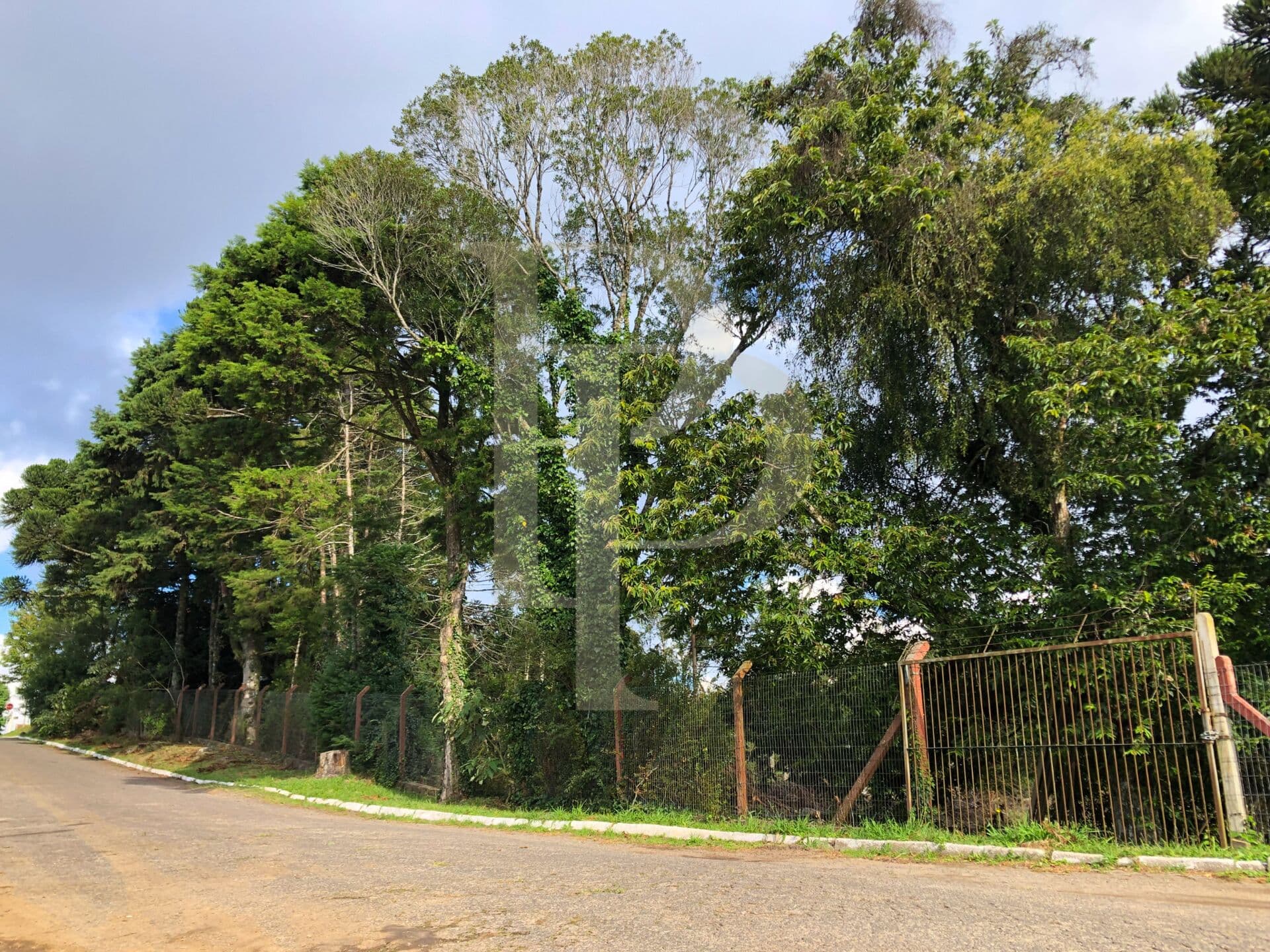 Terreno imperdível com 711,00 m² no Centro de São Francisco de Paula - RS