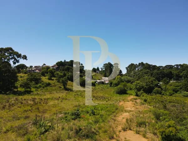Terreno com 14.678,60m² no Centro de São Francisco de Paula - RS