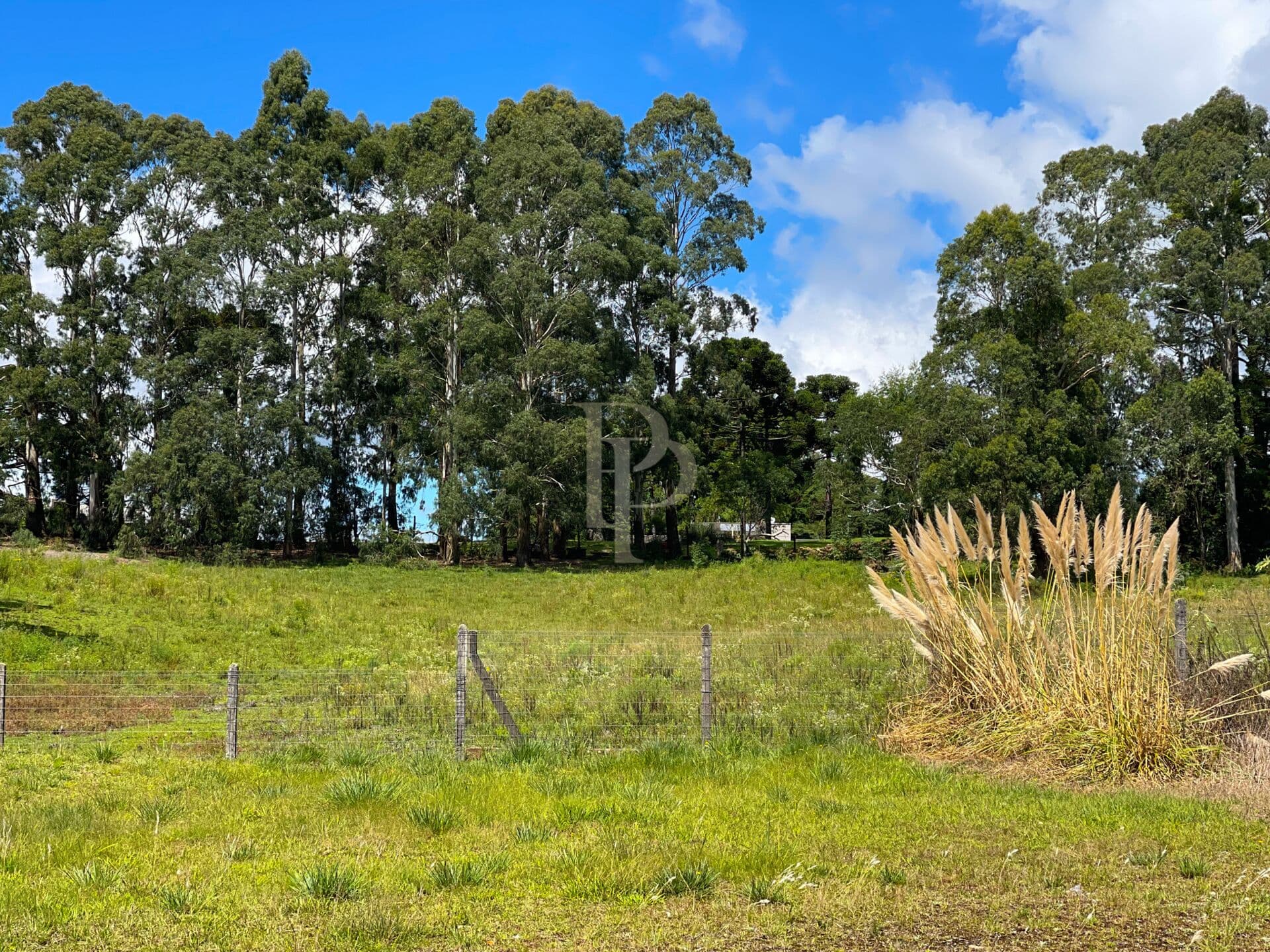 Lote com 360 m², Centro de São Francisco de Paula, RS