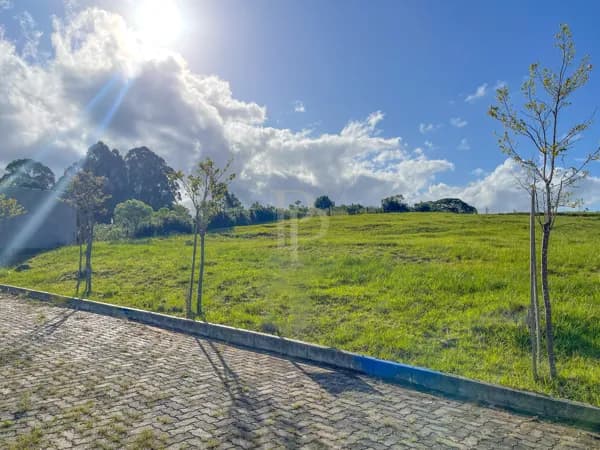 Terreno com 400 m², Centro de São Francisco de Paula, RS