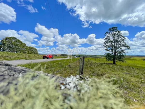 Terreno á venda, 30 hectares, Rota do Sol – São Francisco de Paula, RS