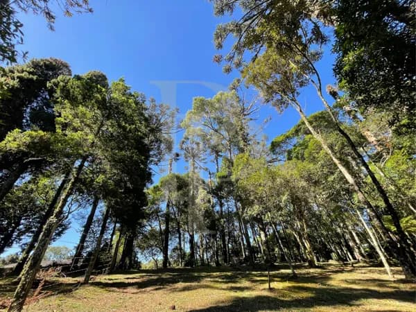 Terreno à venda em São Chico-RS