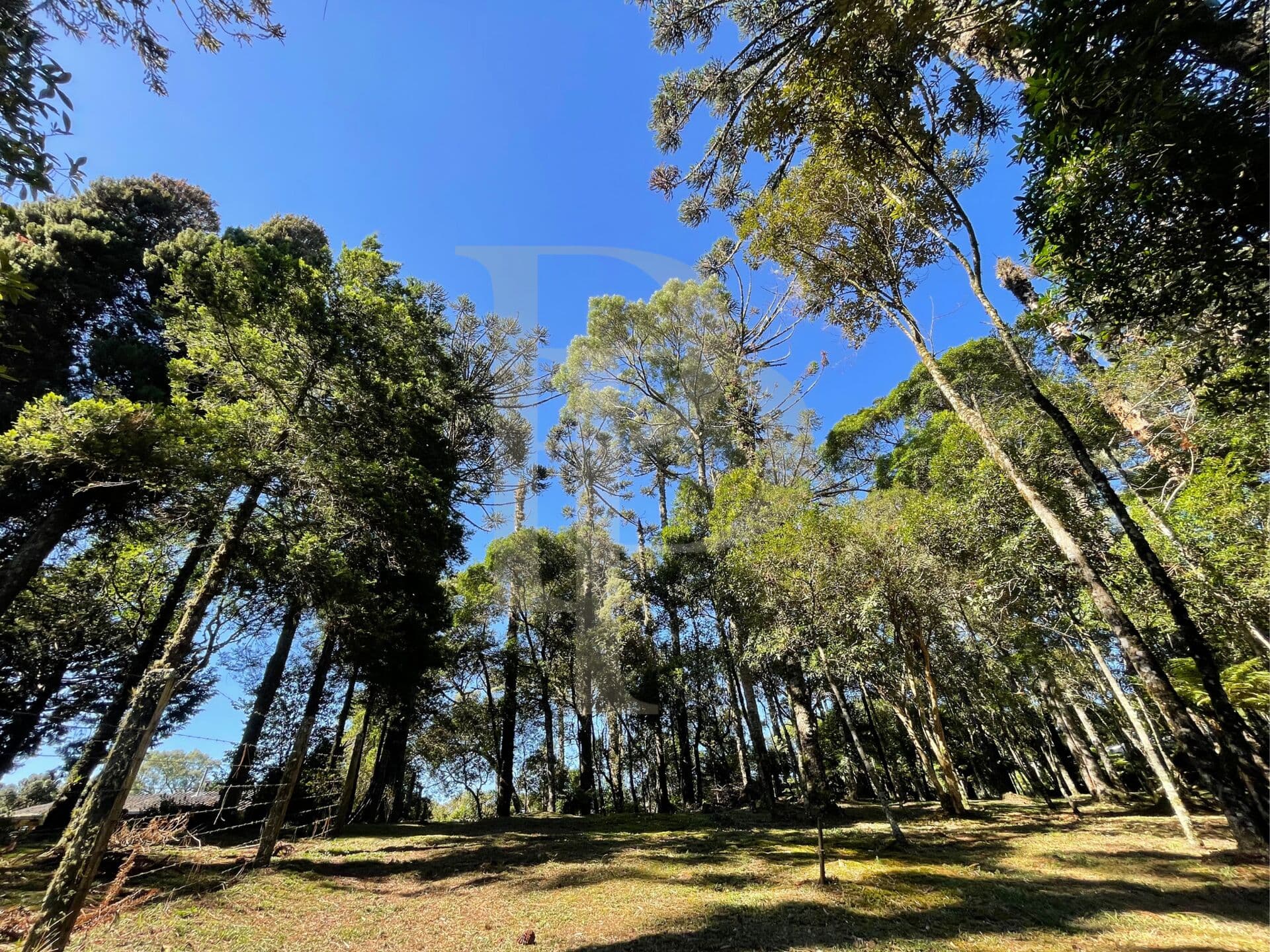 Terreno à venda em São Chico-RS