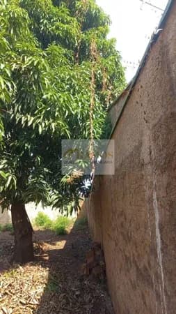 Lote/Terreno em Barretos - Santa Izabel