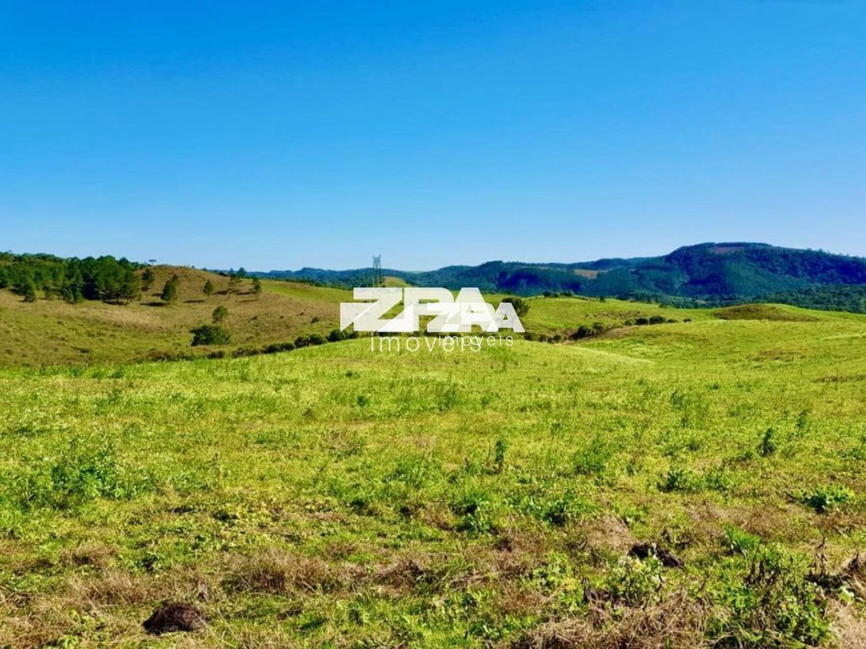 Sítio / Chácara em Campo Alegre com 110.568m2