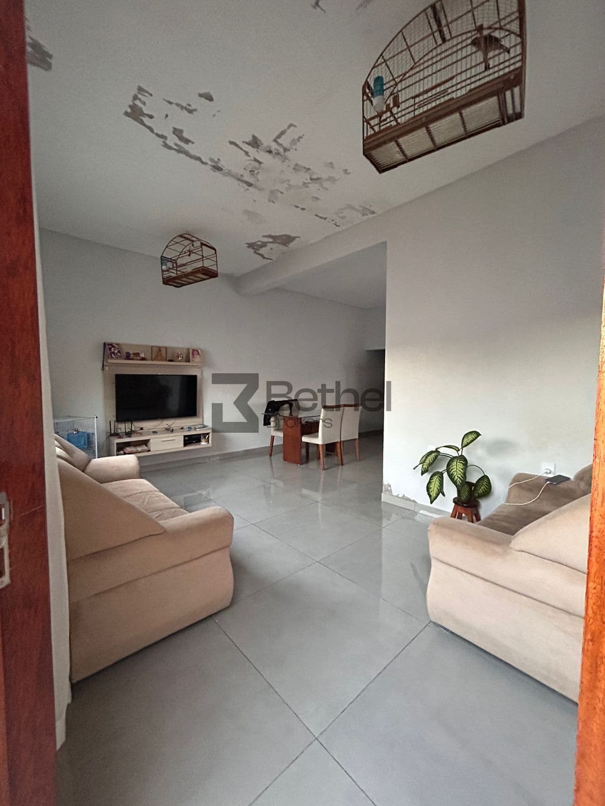 Casa Padrão Vila dos Eucaliptos, Salto!