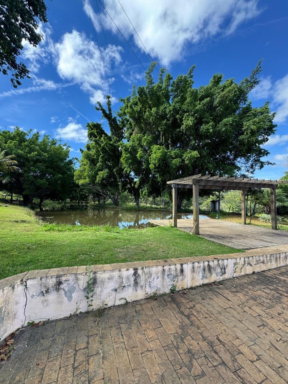 FAZENDA -PECUARIA 100HA EM BOM DESPACHO -MG