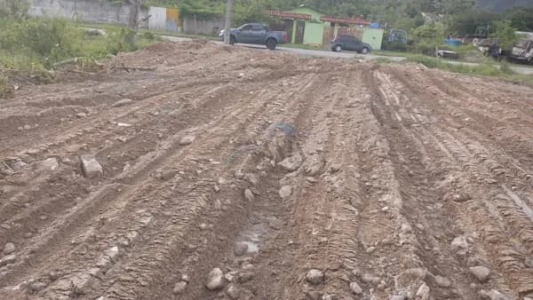 Venda: Terreno Lote Inteiro 245m² – TR0005