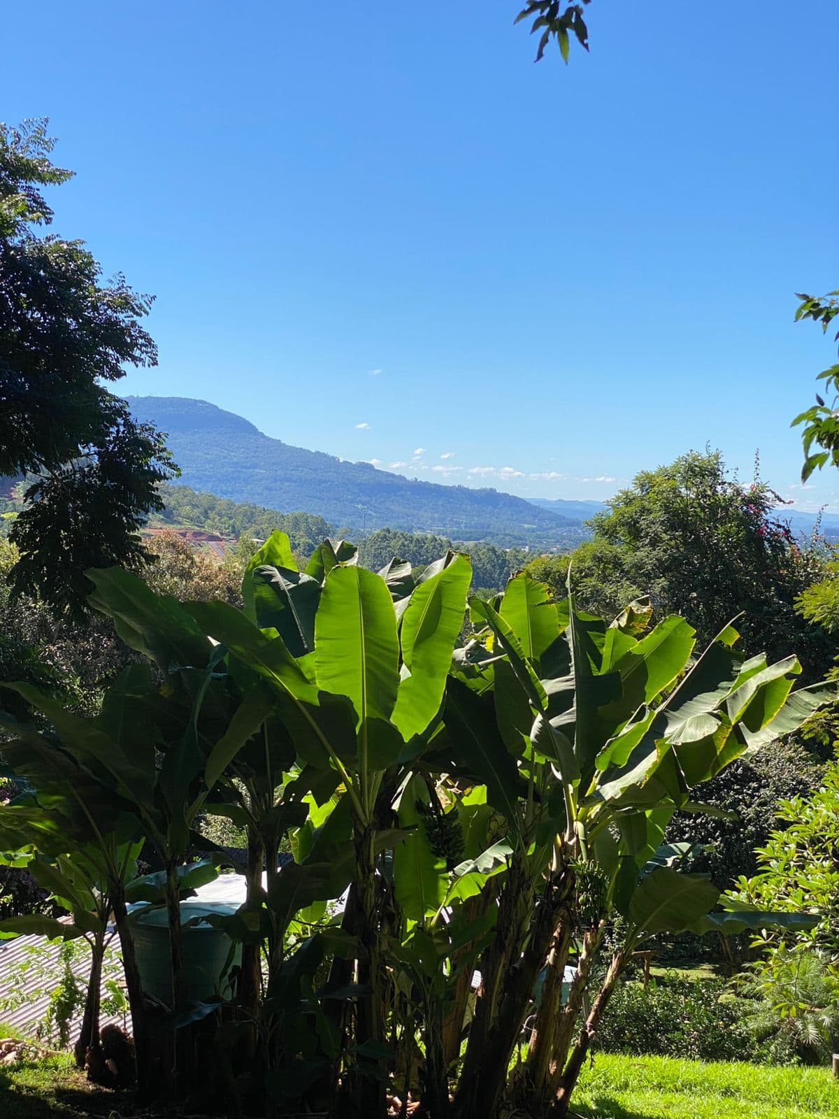 Fazenda/Sítios/Chácaras em Sapiranga - Oeste