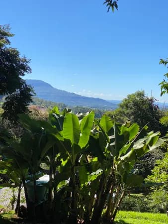 Fazenda/Sítios/Chácaras em Sapiranga - Oeste