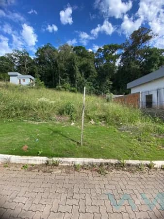 Lote/Terreno em Sapiranga - Piquete