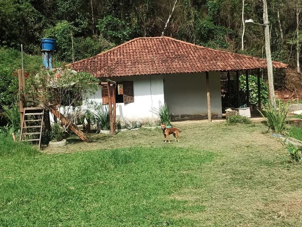Fazenda/Sítios/Chácaras em Caratinga - Santa Luzia de Caratinga