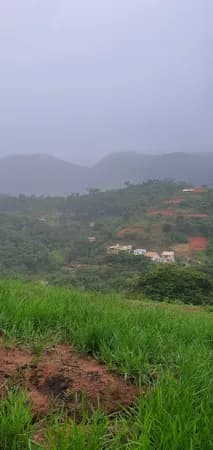 Fazenda/Sítios/Chácaras em Caratinga - Centro