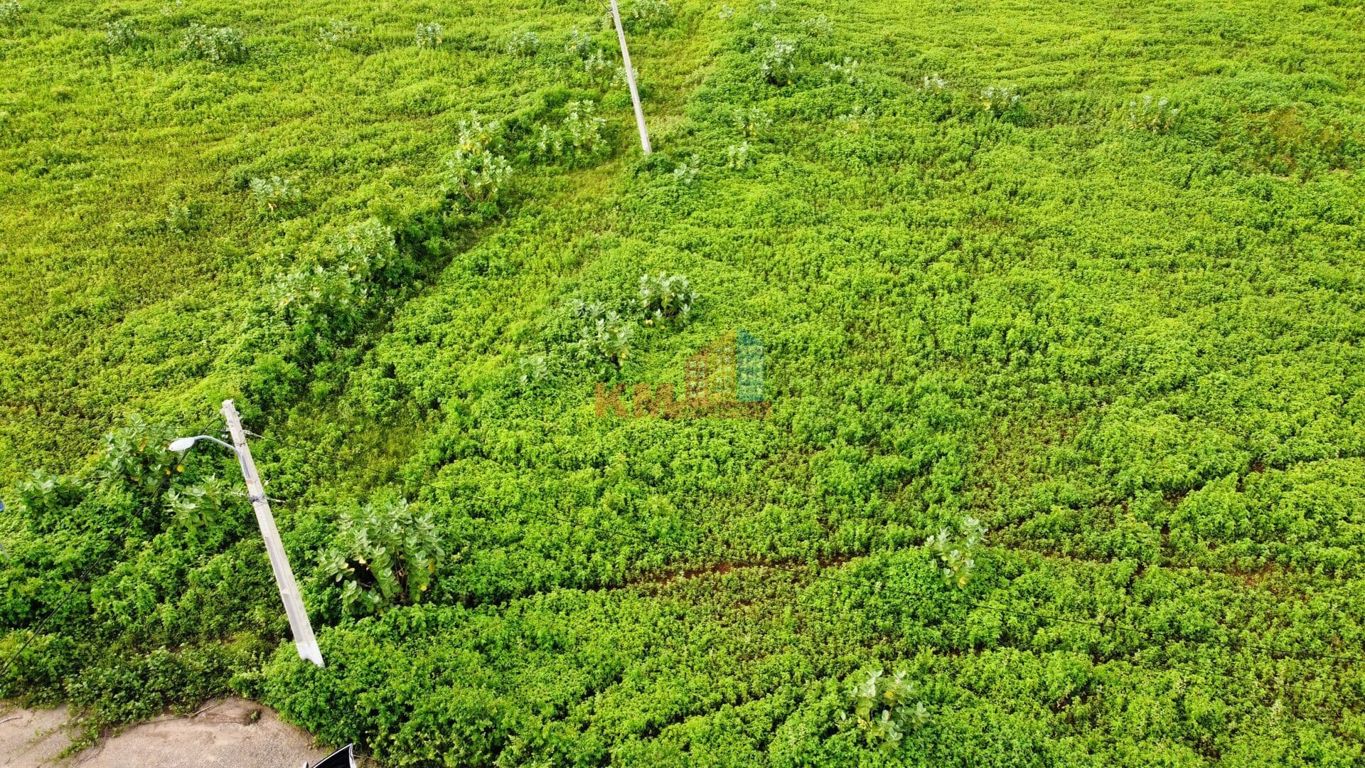 TERRENO • 338,88 m² | Loteamento Tropical Ville – Itapetinga, Mossoró/RN
