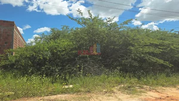LOTE • 385,19 m² | Bairro Rincão– Mossoró/RN.