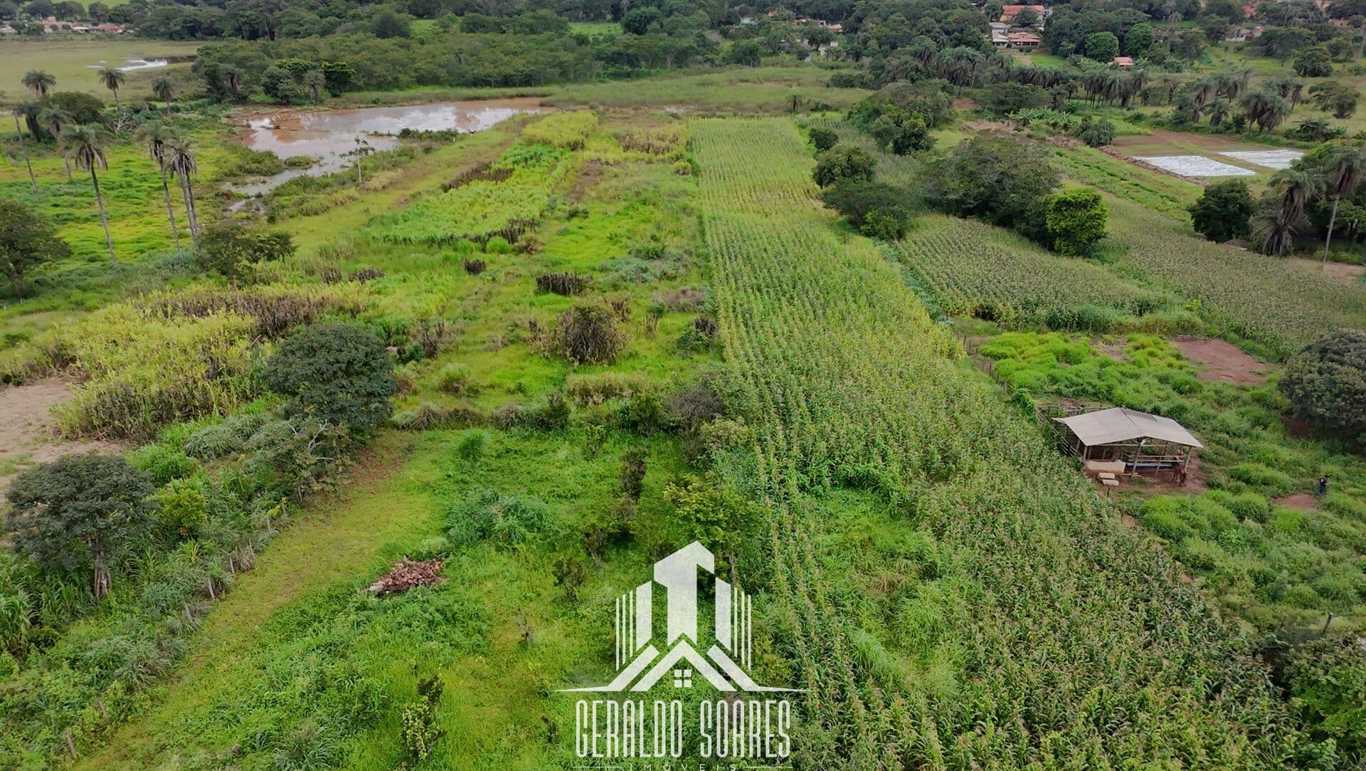 Oportunidade Real: 7.300m² na Lapinha por apenas R$ 380 Mil!