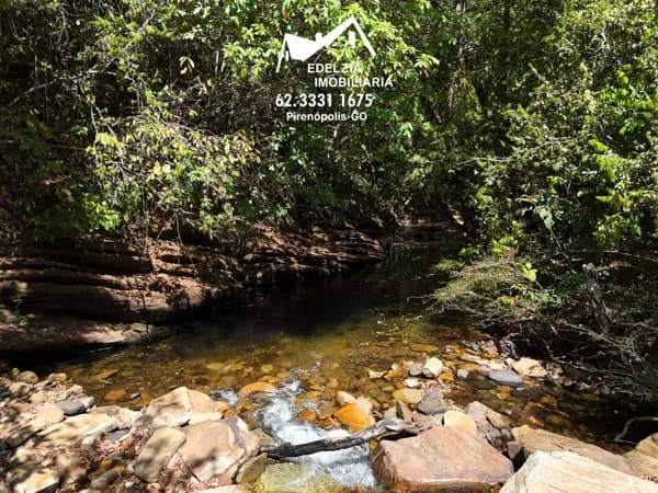 Um verdadeiro santuário ecológico