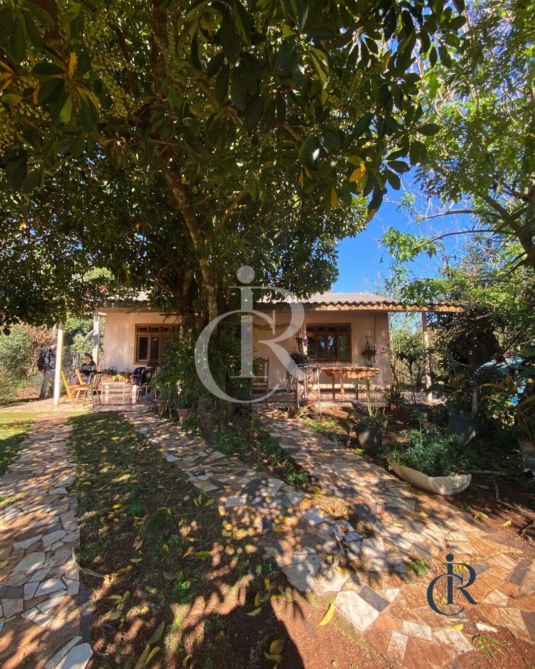 Fazenda/Sítios/Chácaras em Rio Bonito do Iguaçu - Centro