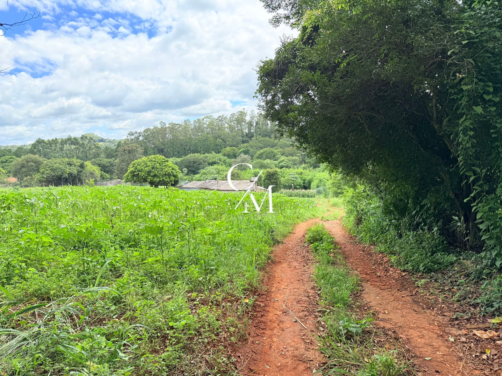 Lote/Terreno em Jundiaí - Ivoturucaia