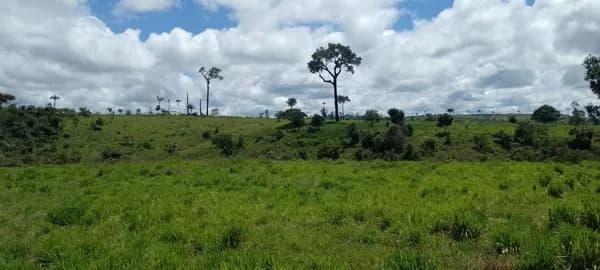 Fazenda/Sítios/Chácaras em Apiacás - Centro