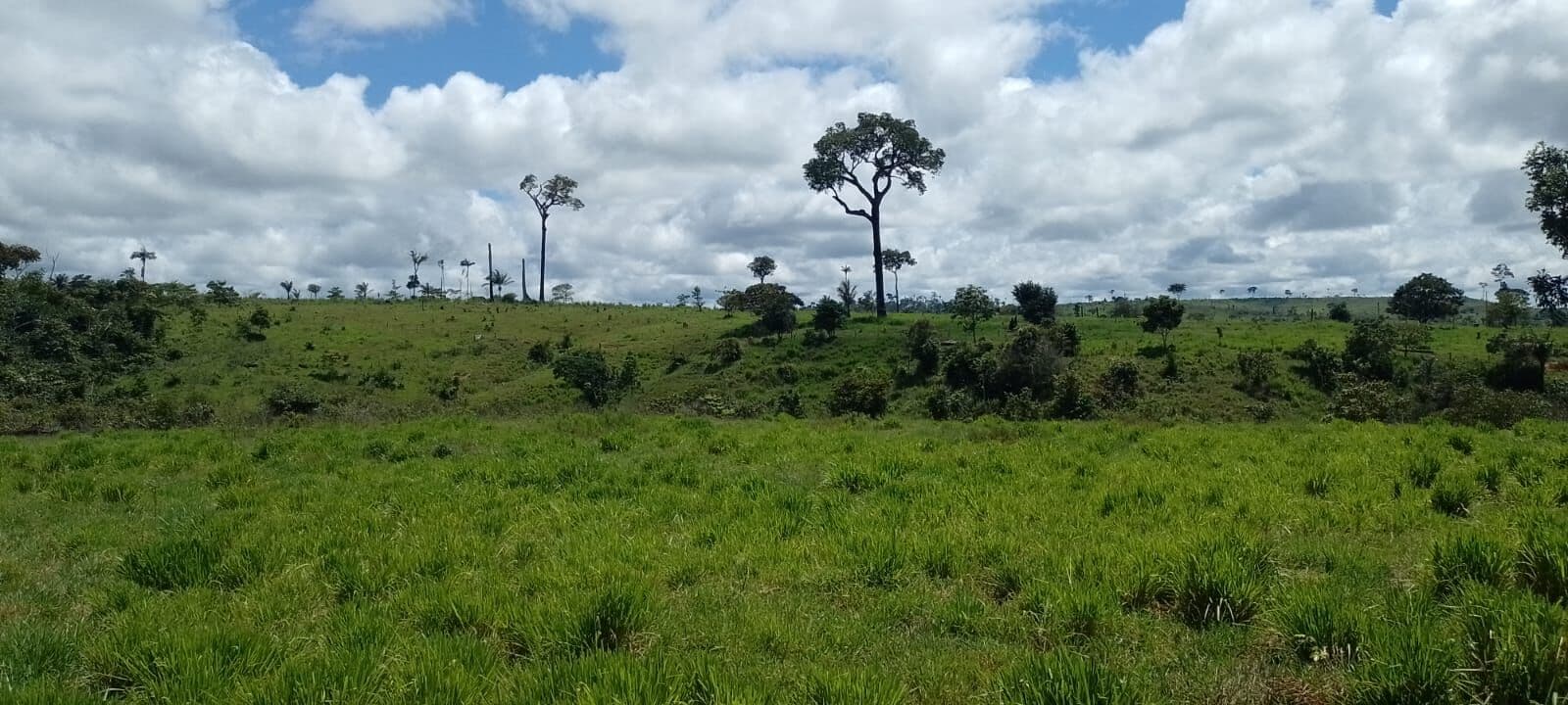 Fazenda/Sítios/Chácaras em Apiacás - Centro