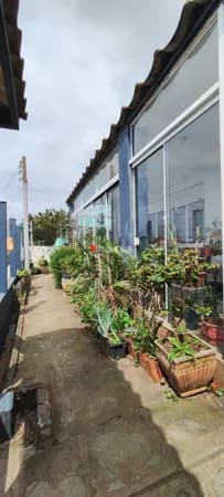 Casa Aconchegante com Kitnet e Atelier nos Fundos - CIDREIRA!