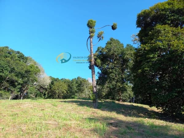 Terreno com 19mil m² no bairro Velha, Blumenau/SC