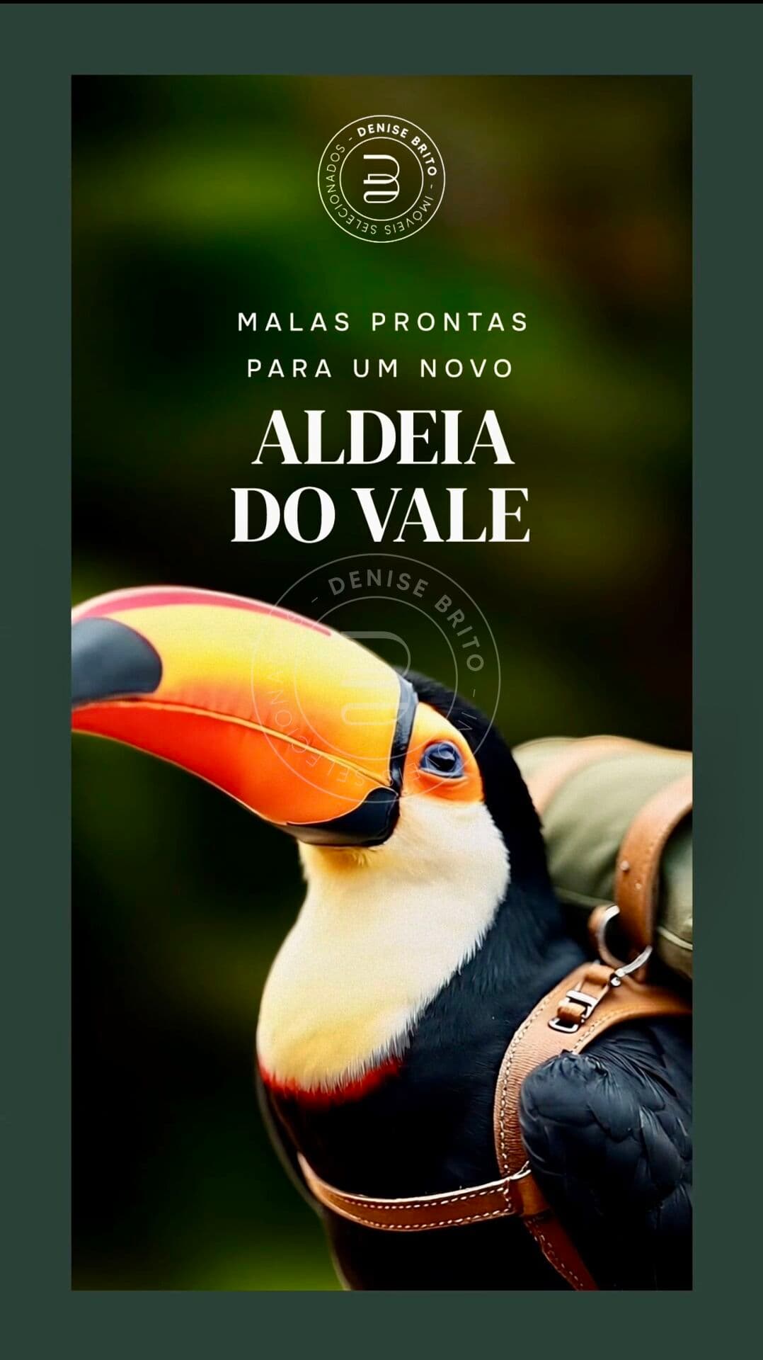 Aldeia do Vale Pirenópolis Condomínio horizontal de alto padrão