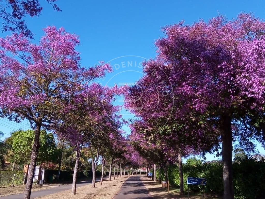 Viva a tranquilidade e o contato com a natureza no Condomínio Alto da Boa Vista!