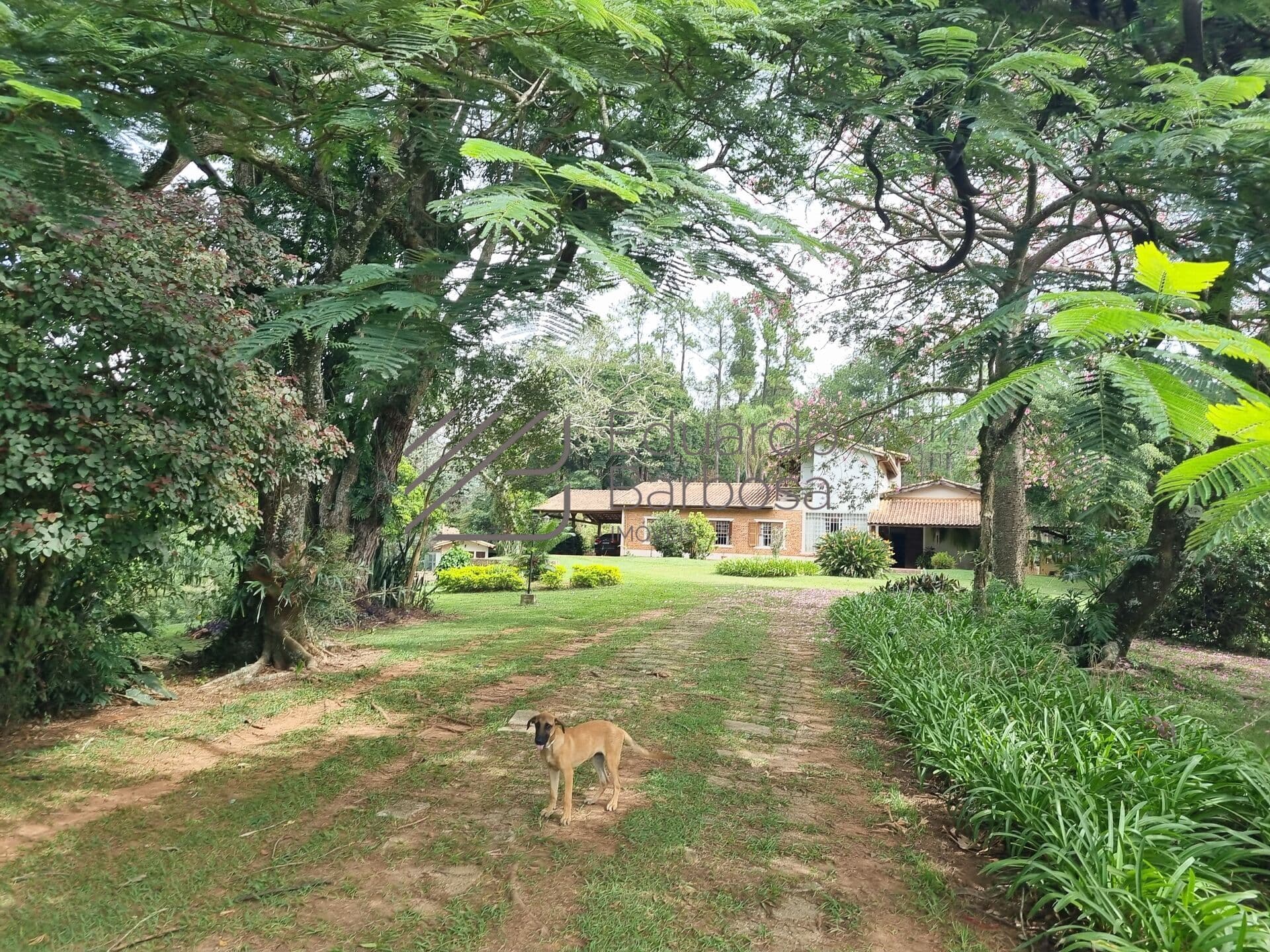SÍTIO COM LAGO EM ATIBAIA | BOA LOCALIZAÇÃO | COM ESCRITURA | SEMI-MOBILIADO