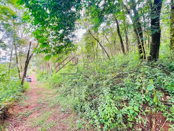 Terreno à Venda em Mairiporã/SP