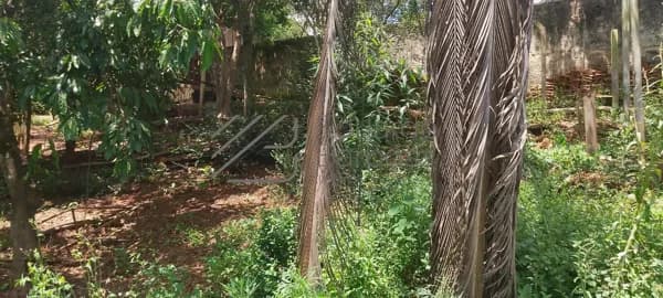 Terreno em Mairiporã com escritura