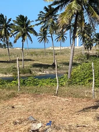 Lote/Terreno em Amontada - Moitas