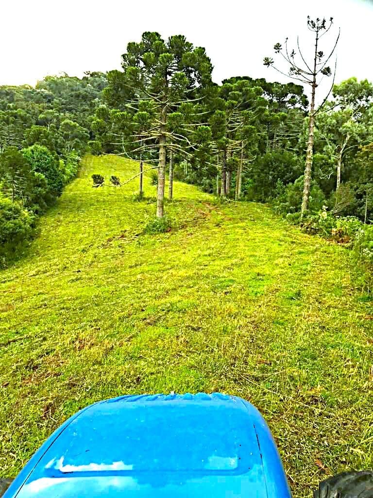 Fazenda/Sítios/Chácaras em Urubici - Interior