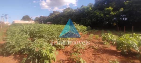 Terreno à venda, 600m² por R$ 215.000 - Nova Odessa/SP