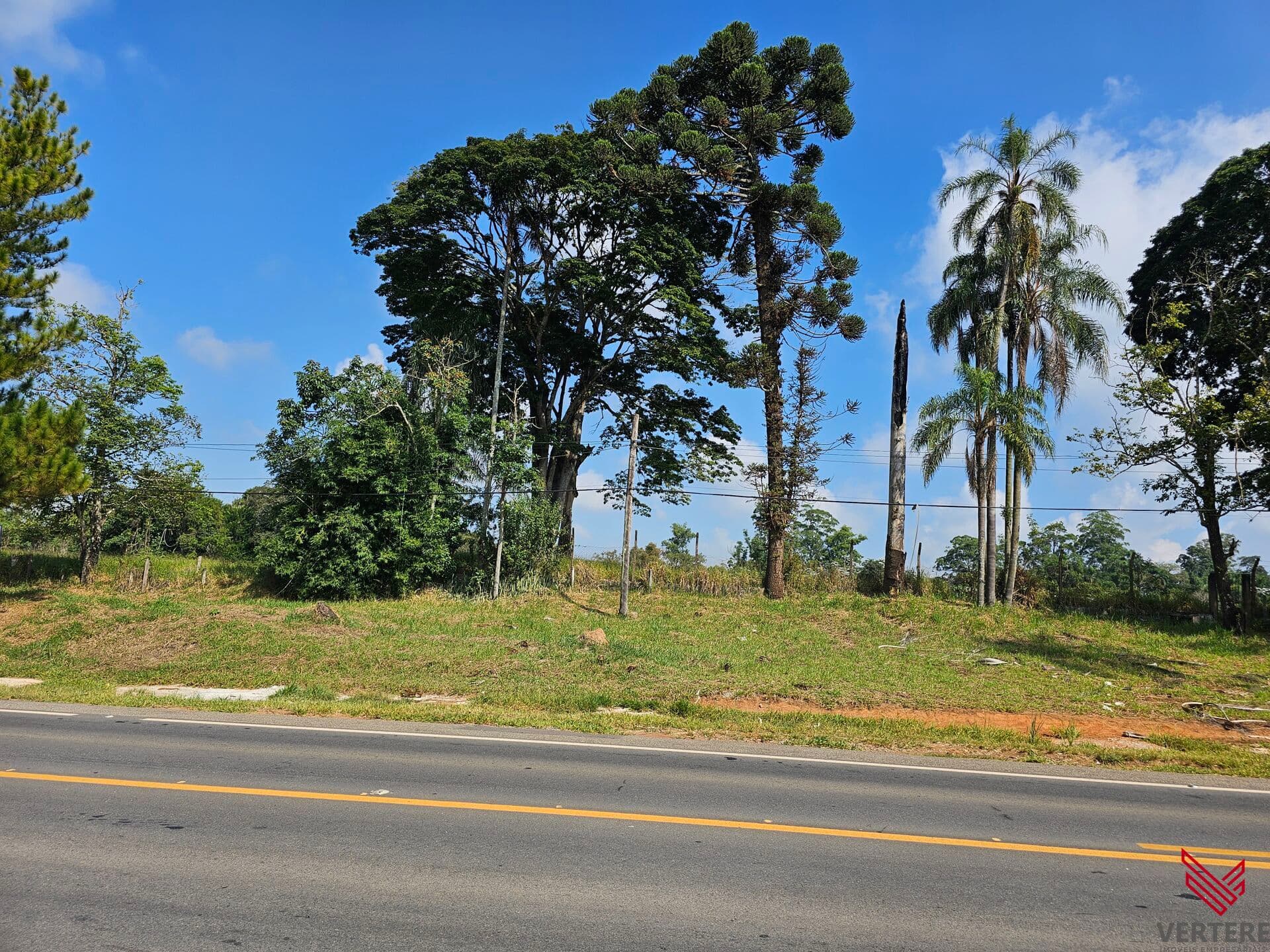 Área Industrial 24.000m² – Bairro Curitibanos - Bragança Paulista/SP