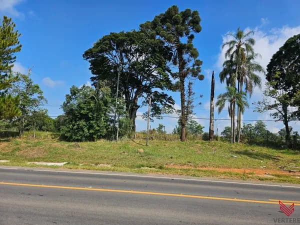 Área Industrial 24.000m² – Bairro Curitibanos - Bragança Paulista/SP
