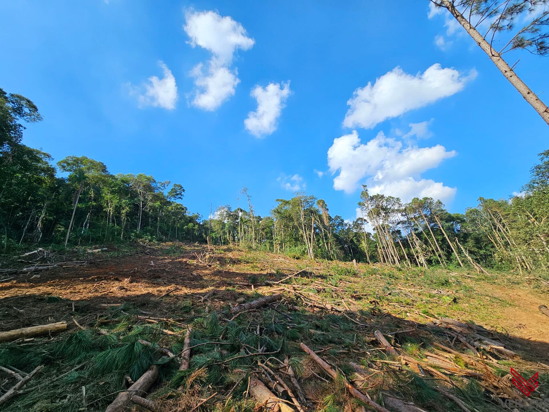 Área para Sítio 22.793m2 Estr. Clube da Montanha - Atibaia/SP