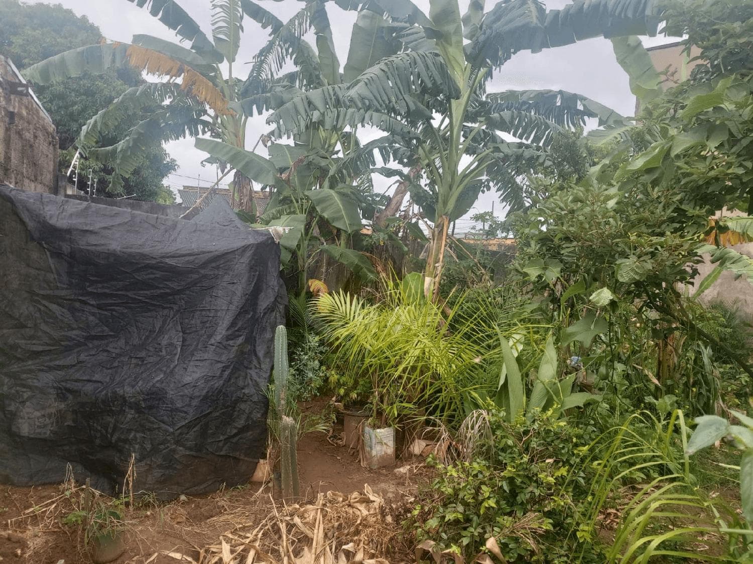 Terreno à venda no bairro Pacaembu em Uberlândia/MG
