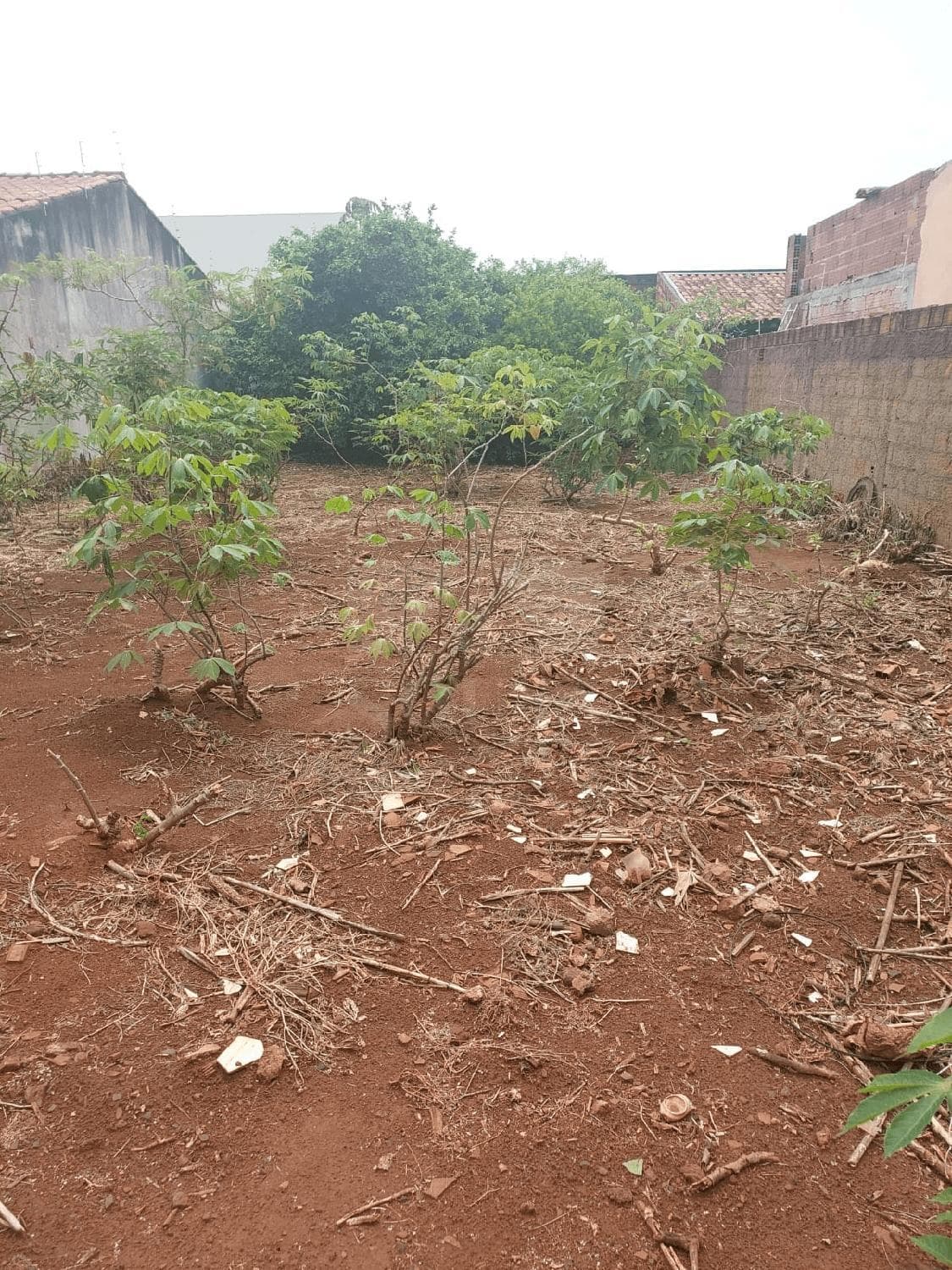 Terreno à venda no bairro Jardim Holanda em Uberlândia/MG