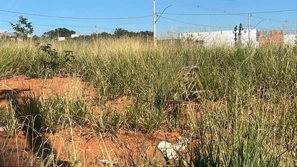 Terreno à venda no bairro Verde Umuarama em Uberlândia/MG