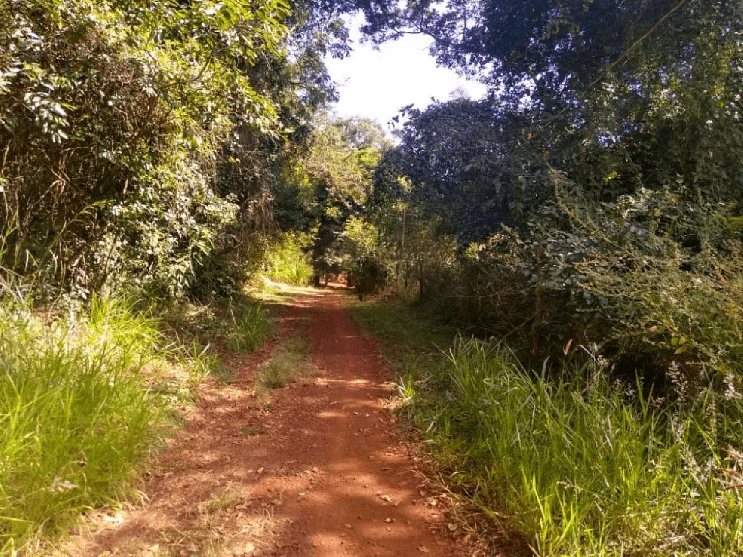 Casa à venda no bairro Minas Gerais em Uberlândia/MG
