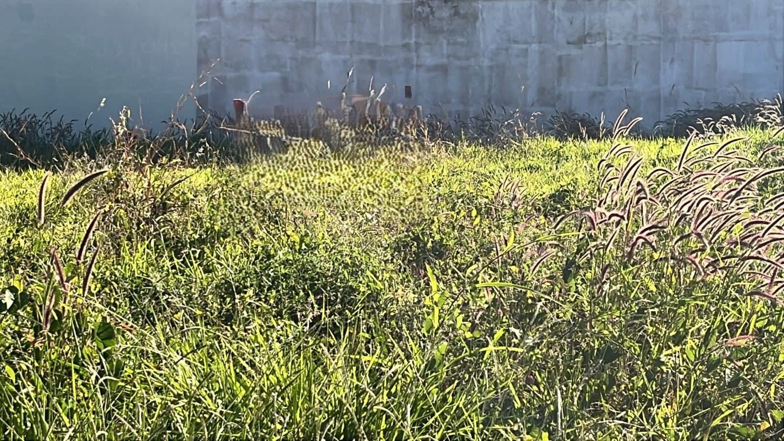 Terreno à venda no bairro Novo Mundo em Uberlândia/MG