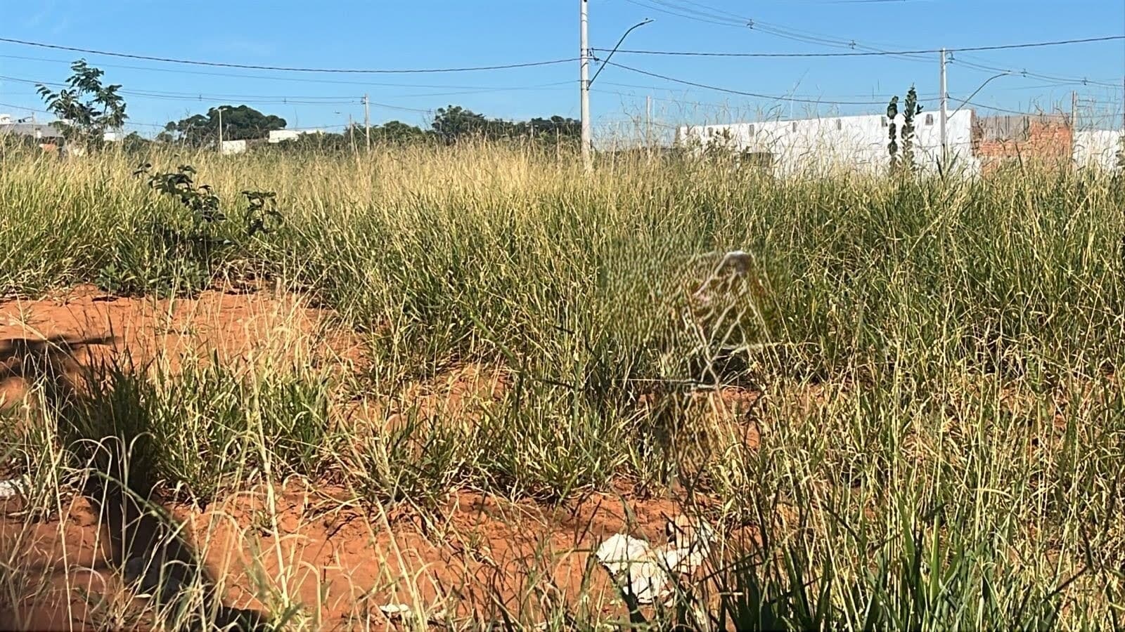 Terreno à venda no bairro Verde Umuarama em Uberlândia/MG
