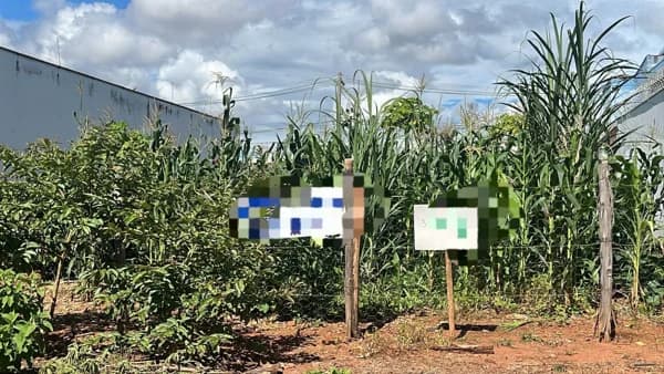 Terreno à venda no bairro Jardim Botânico em Uberlândia/MG