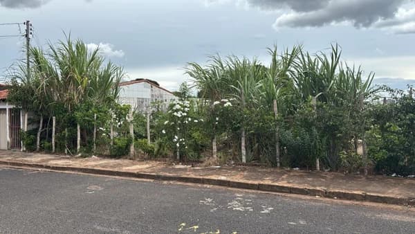 Terreno à venda no bairro Santa Mônica em Uberlândia/MG