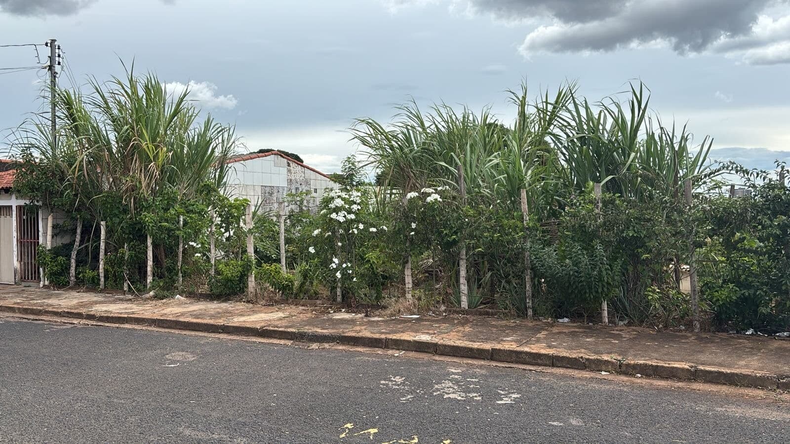 Terreno à venda no bairro Santa Mônica em Uberlândia/MG